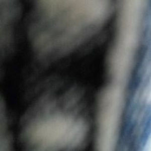 Meet your Posher, Jerome